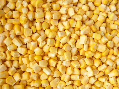 Sweet Corn Exporter USA