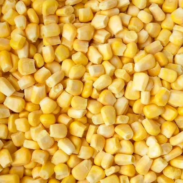 IQF Sweet Corn Exporter