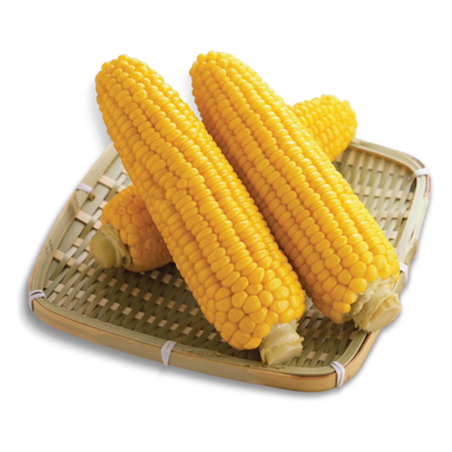 Sweet Corn Export to Qatar