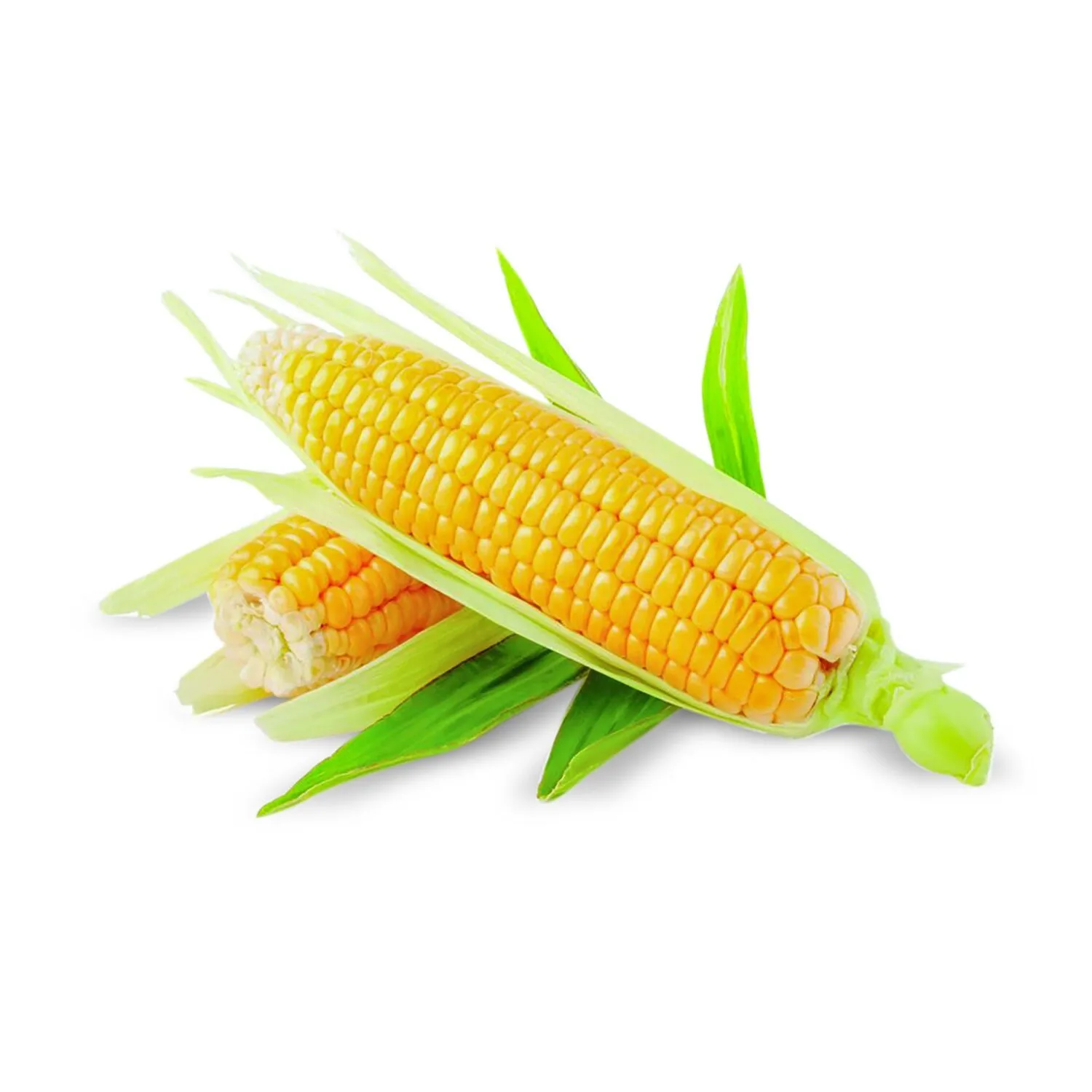 Sweet Corn Exporter UK