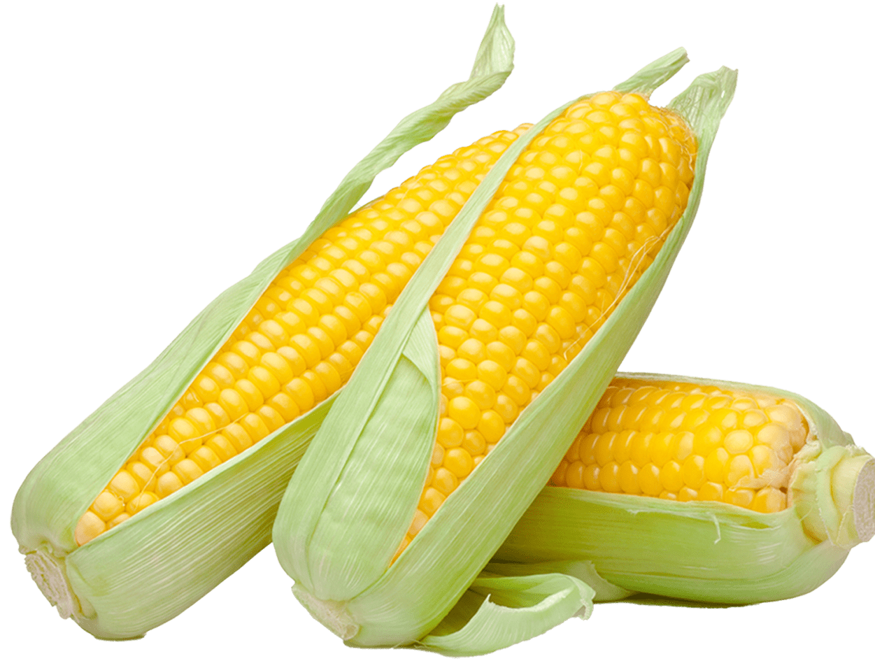 Frozen Sweet Corn Supplier Moscow