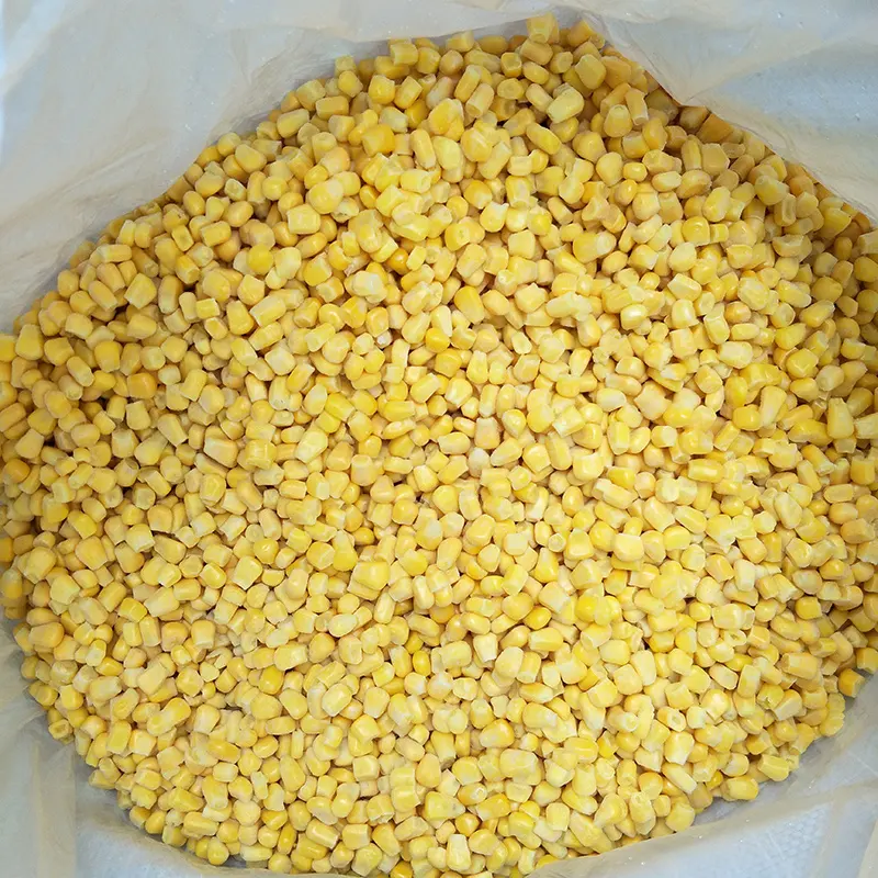 Frozen Sweet Corn Supplier to Iraq