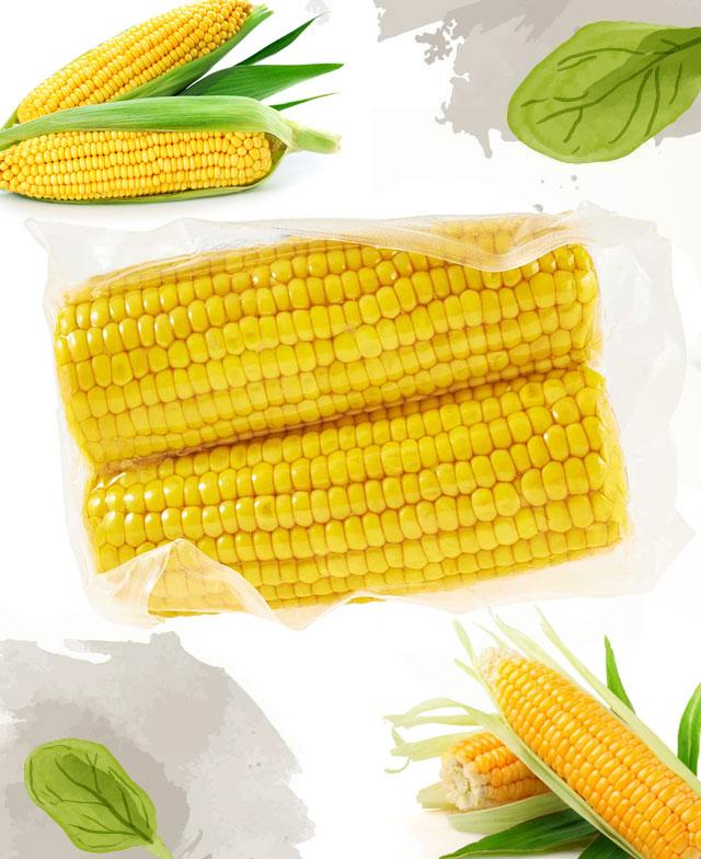 Vacuum Sweet Corn Export to Kuwait