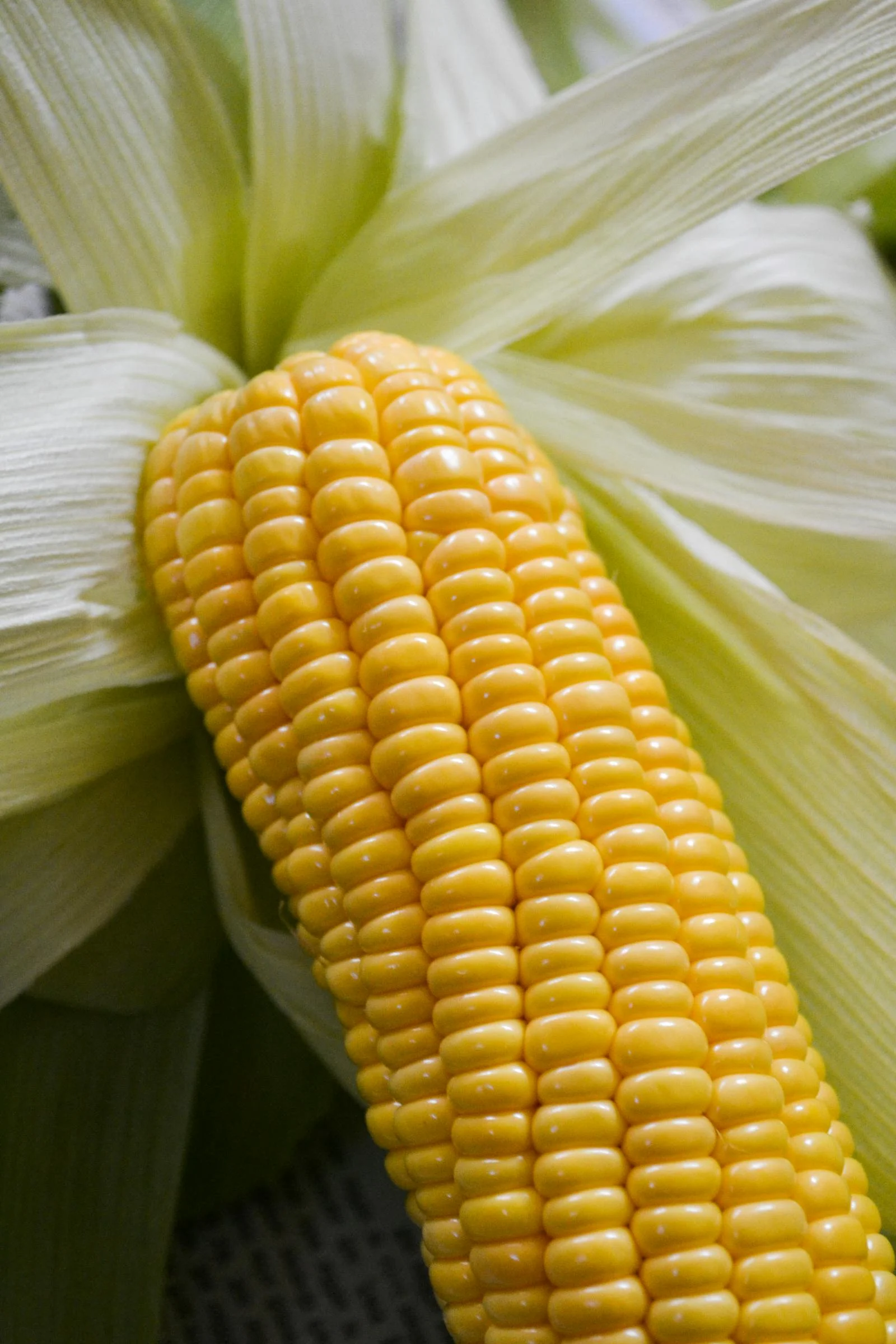 Bulk IQF Sweet Corn Saudi Arabia